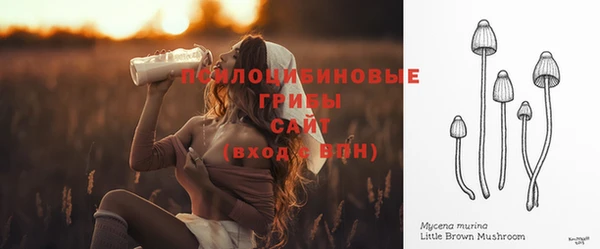 PSILOCYBIN Абинск