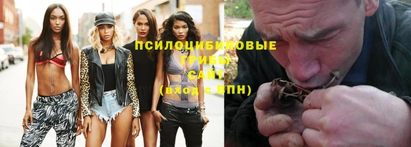 PSILOCYBIN Абинск