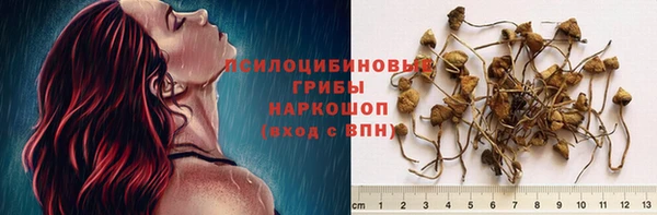 PSILOCYBIN Абинск
