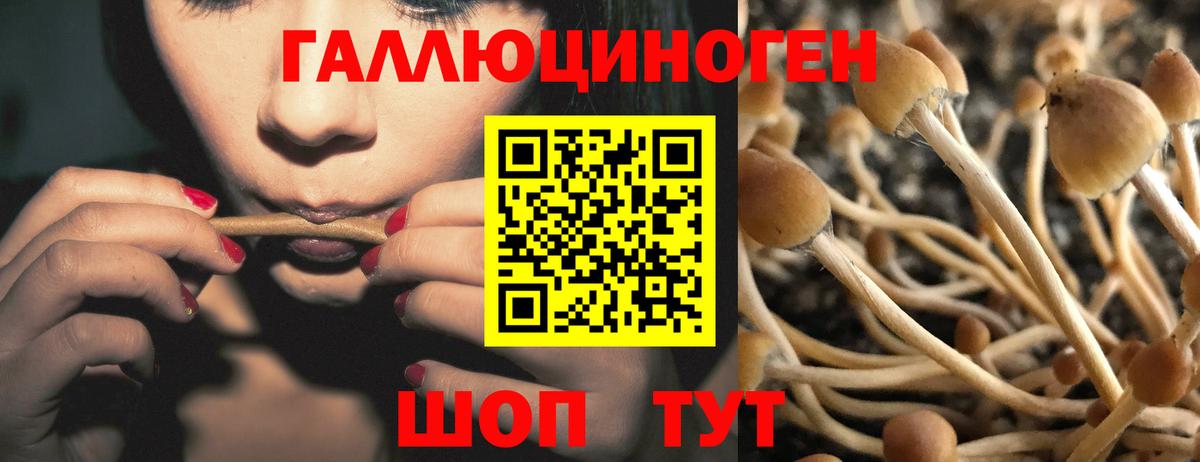 Тихвин  Галлюциногенные грибы мухоморы  магазин  наркотиков  Псилоцибиновые грибы GOLDEN TEACHER  Вход с VPN 